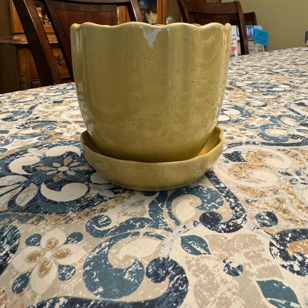 Hearth and Hand with Magnolia Planter with Saucer